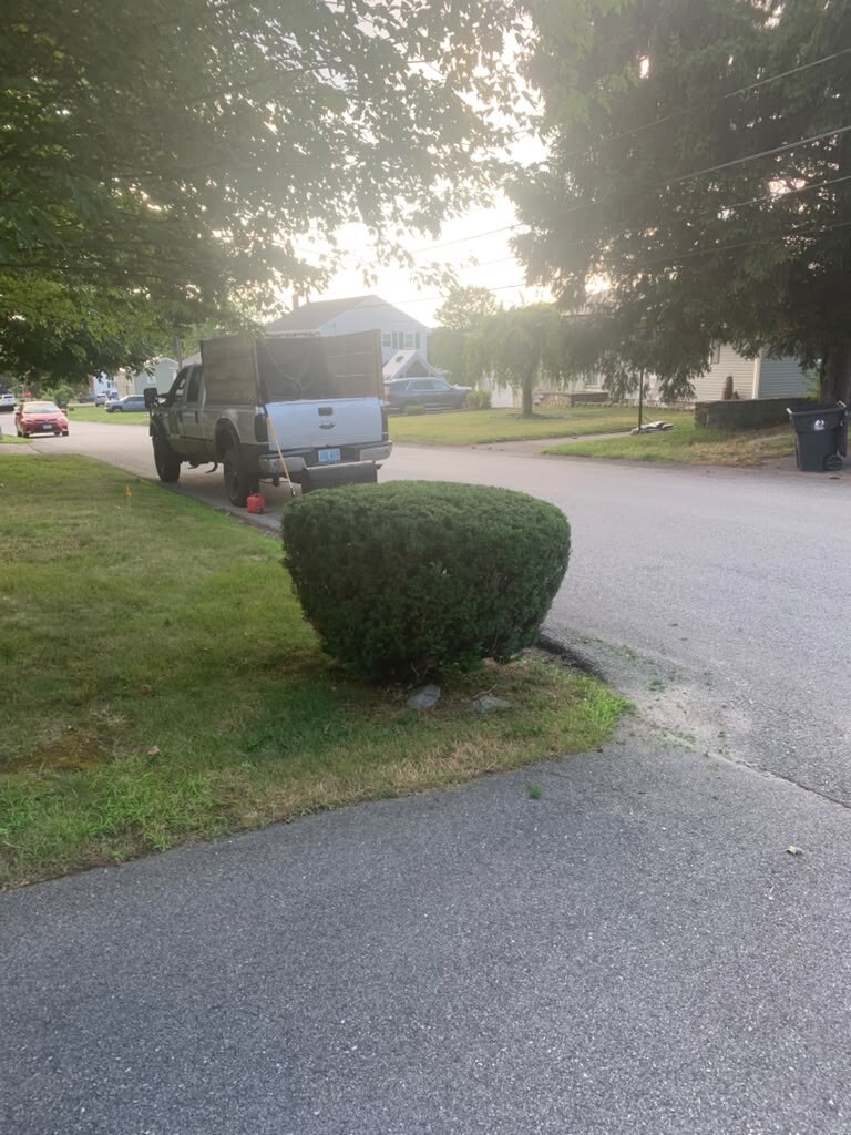 Trimmed shrubs and hedges along a driveway