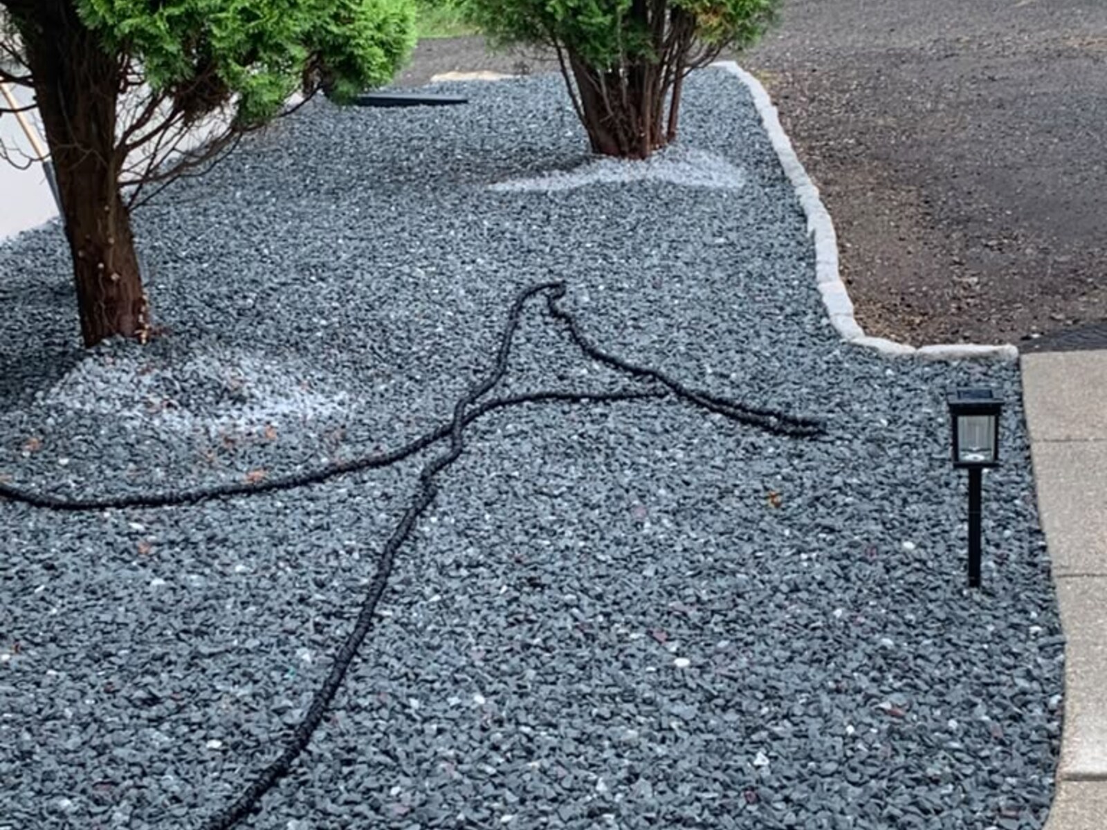 Autumn leaves being raked on a residential lawn