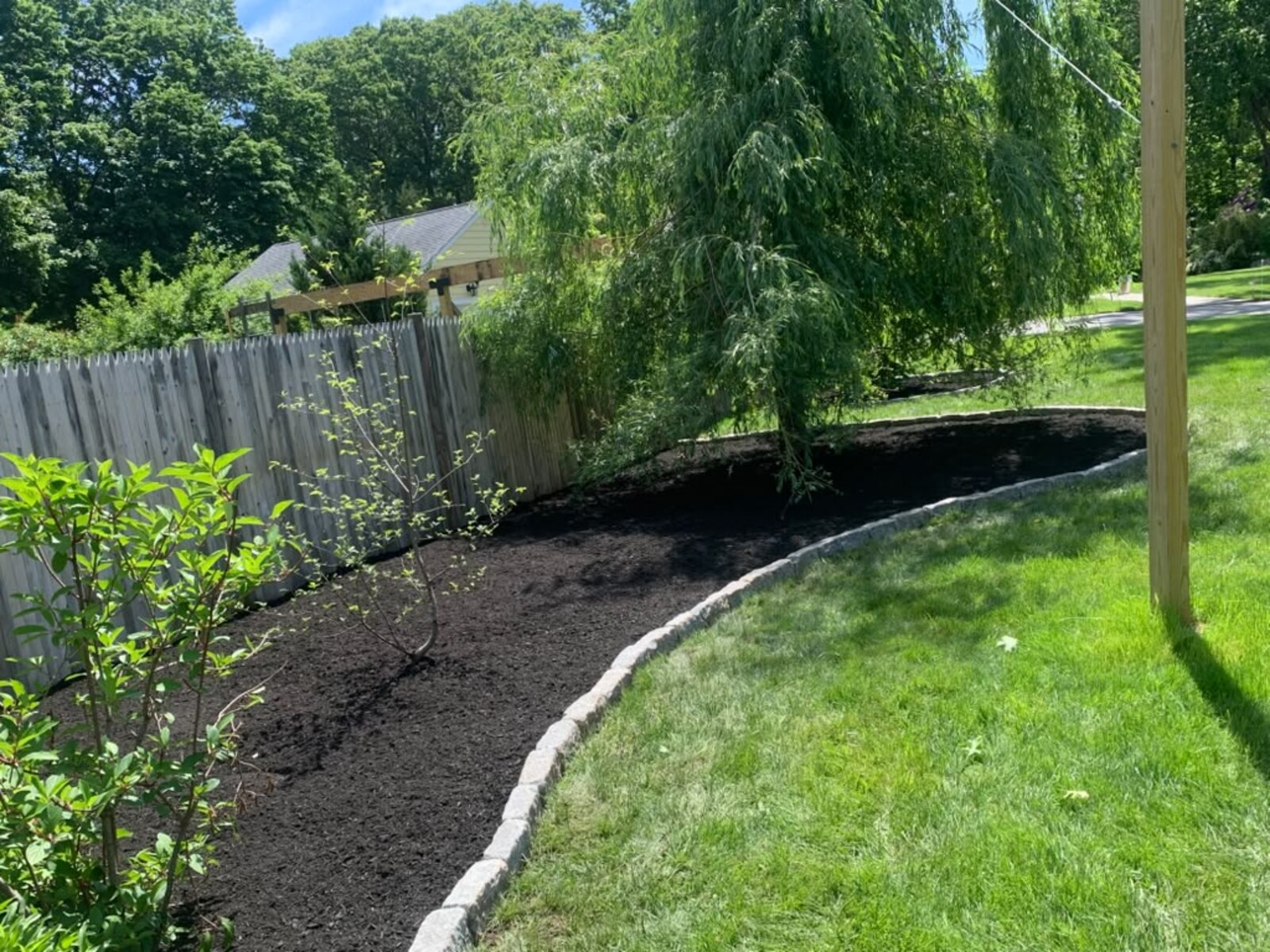 Freshly mowed green lawn with clean mower stripes